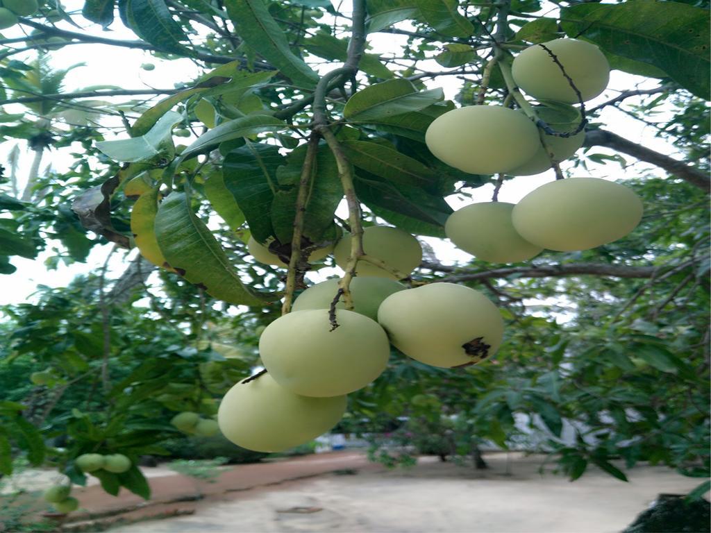 Achayans Homestay Mararikulam Exterior photo